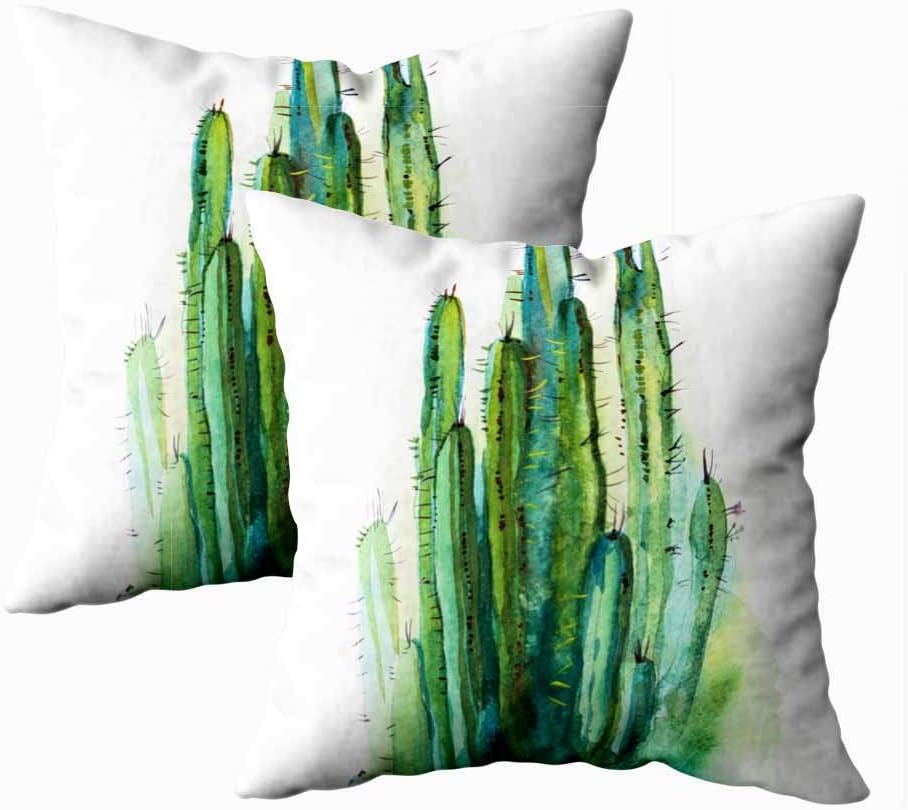 cactus pillow cover