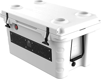 wet sounds ice chest radio