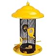 More Birds Sedona Screen Bird Feeder, 4 Feeding Ports, 2.8 lb Bird Seed Capacity