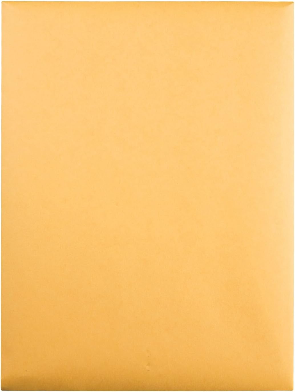 Quality Park 9 x 12 Clasp Envelopes with Deeply Gummed Flaps, Great for Filing, Storing or Mailing Documents, 28 lb Brown Kraft, 250 per Box (37590) : Office Products