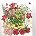CheeseandU Real Dried Pressed Flowers, Little Narcissus, Chrysanthemum, Larkspur, Cherry Queen Anne's Lace Maple Mixed Multiple Natural Pressed Flowers for Art Craft DIY Resin, 35PCS