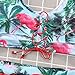 Argonv Sexy Women Two Pieces Lace up Bandage Bikini Swimsuit Set High Waisted Bathing Suit (C, x-Large)