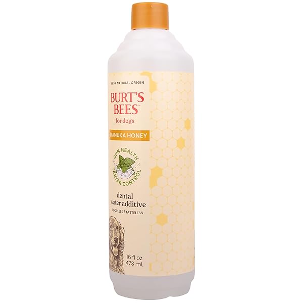 BURT’S BEES FOR PETS DENTAL WATER ADDITIVE FOR DOGS WITH MANUKA HONEY FOR GUM HEALTH & TARTAR CONTROL, NO BRUSHING REQUIRED, 99.5% NATURAL ORIGIN FORMULA, ODORLESS & FLAVORLESS, 16 FL OZ