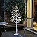 EAMBRITE Warm White LED Tree Light Winter Wedding Home Decorative Tree Light for Indoor and Outdoor Use (5FT Birch Tree Lights)