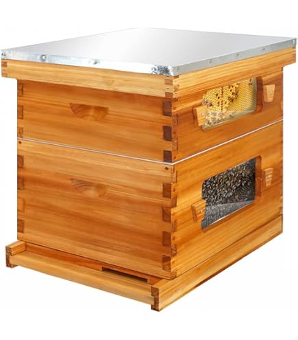 Amazon.com: Honey Lake Bee Hive with Windows, 8 Frame Langstroth