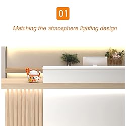 Office Reception Desk with Counter - Sturdy Front