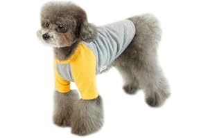 Lucky Petter Dog Shirt for Small and Large Dogs Raglan Cotton T-Shirts Soft Breathable Dog Shirts pet Clothes Gray Series (Large, Gray/Yellow)