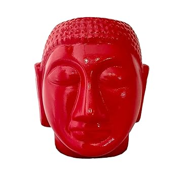 CreatorsPodd Frexinus Planter for Home D