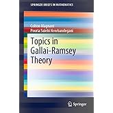 Topics in Gallai-Ramsey Theory (SpringerBriefs in Mathematics)