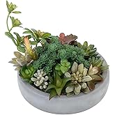 MyGift Assorted Indoor Fake Plants Artificial Succulent Arrangement in Round Gray Cement Planter Pot
