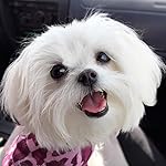 Review Image by Karen Karen