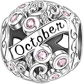 Ruishiqi 925 sterling silver bracelet and necklace pendant December series/Birthstone Charm Bead Women's Jewelry Gift Suitable for Women