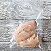 Avid Armor Vacuum Sealer Bags 100 Gallon 11