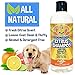 Bodhi Dog Refreshing Orange Citrus Shampoo - Deep Cleaning Coconut & Aloe Formula - Natural Soothing, Moisturizing Pet Wash for Dogs, Cats, Puppies - Tear-Free (17 Fl Oz)