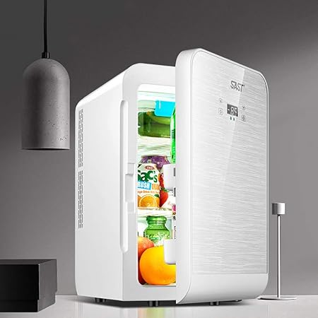 SAST Nevera Portatil 12V 220V-240V Nevera Electrica para Coche ...