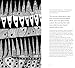 The Little Mermaid by Hans Christian Andersen & Yayoi Kusama: A Fairy Tale of Infinity and Love Forever