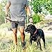 OutdoorMaster Bungee Dog Leash, Improved Dog Safety & Comfort (Green)