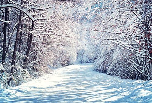 7X5ft (220cmX150cm)Christmas Photography Background Winter Snow For Studio Photo Props