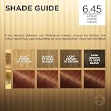 L'Oreal Paris Preference 6.45 Brooklyn Copper Auburn Permanent Hair Dye Long view 6