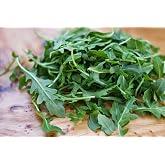 SeedsUP - 500+ Seeds Arugula - Herb Green