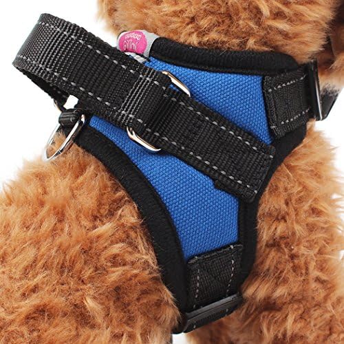 Gililai Adjustable No Pull Dog Collar Harness with Handle On Top - Best for Walking, Hiking &amp; Training Canie - 4 Colors and 4 Sizes (Xlarge, Blue)