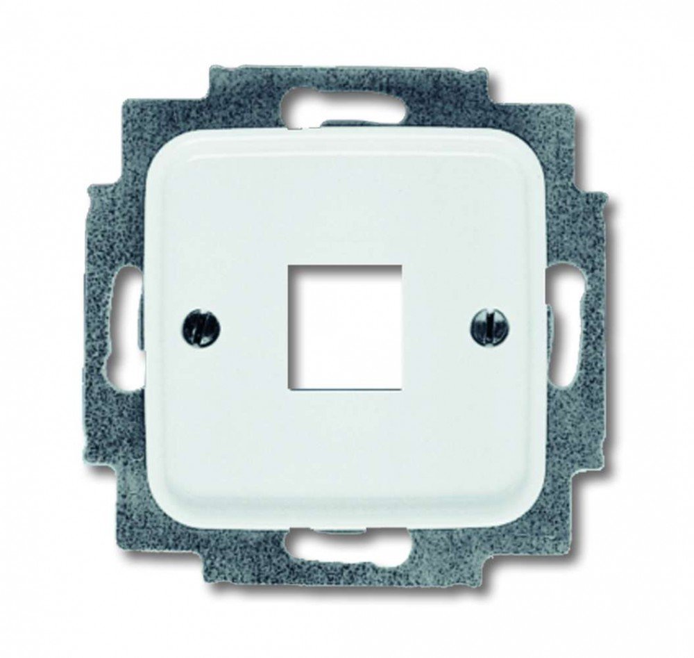 Busch-Jaeger 2561 214 Fascia