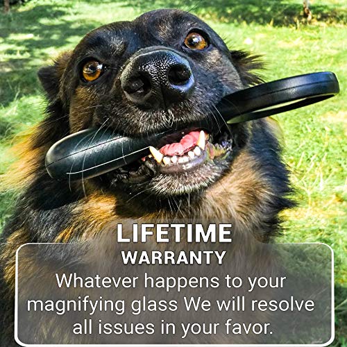 5 SeeZoom+Lighted+Magnifying+Glass+magnifier