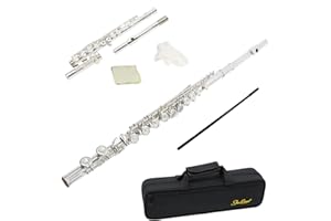 StarQuest SQ-FL250 Closed Hole C Flute Instrument For Beginners, Silver-Plated, Portable Hard Case & Cleaning Rod & Cloth, Gl