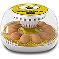Meuiosd Egg Incubator for Hatching Chicks, 12-24 Egg Incubators with Auto Turning, Automatic Water Top-up, Fahrenheit Display, 360° View Poultry Incubator for Hatching Chicken Duck Quail Parrot