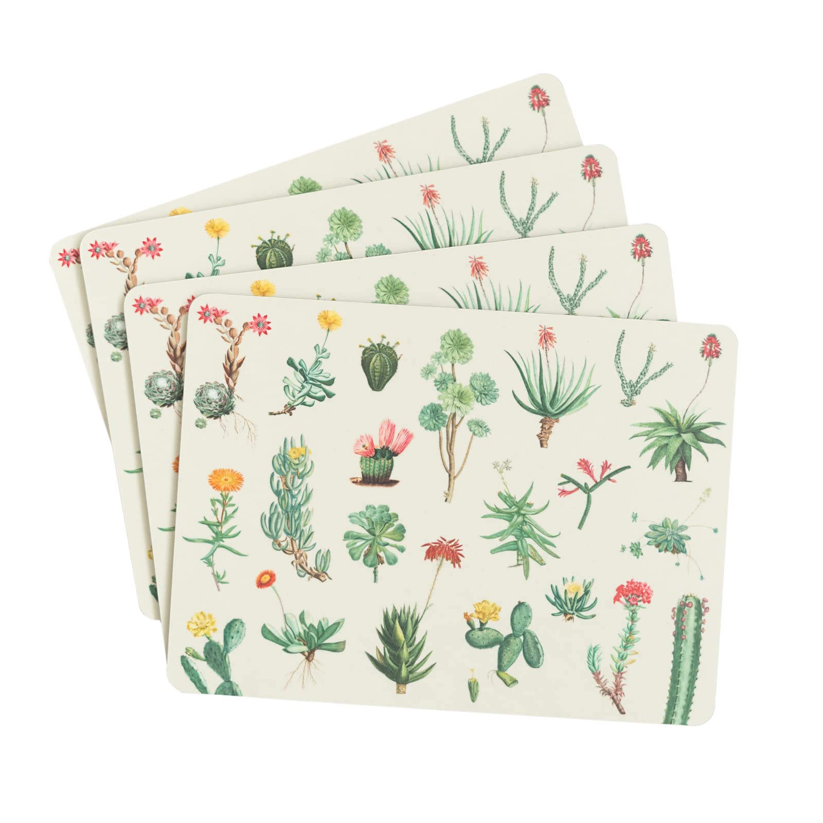 Grupo Erik Botanical Cacti Table Placemats Set Of 4-11 x 8 inches / 28 x 20 cm - Cork Placemats - Beermat - Drip Mat - Outdoor Placemats - Creative Tops Placemats