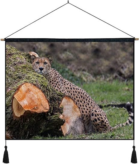 Amazon Co Jp 苔むした木の丸太 で休んでいるチーター 動物 タペストリー 多機能 個性 掛け軸 掛け物 掛けじく ポスター インテリア 組立式 部屋飾り壁 壁飾り 50cmx40cm ホーム キッチン
