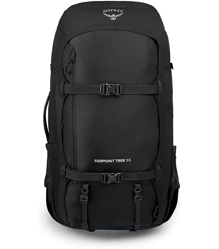 Osprey Aether Pro 75L Men's Backpacking Backpack, Silver Lining, S/M : Sports & Outdoors