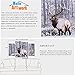 iHAPPYWALL 4 Panel Wild Animal Canvas Wall Art Deer Elk Look Back In Forest Bushes The Picture Print On Canvas Stretched And Framed For Home Decor Ready To Hang
