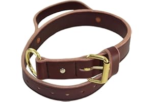Ray Allen Signature K9 Heavy Agitation Collar with Handle, 2-Inch, Burgundy