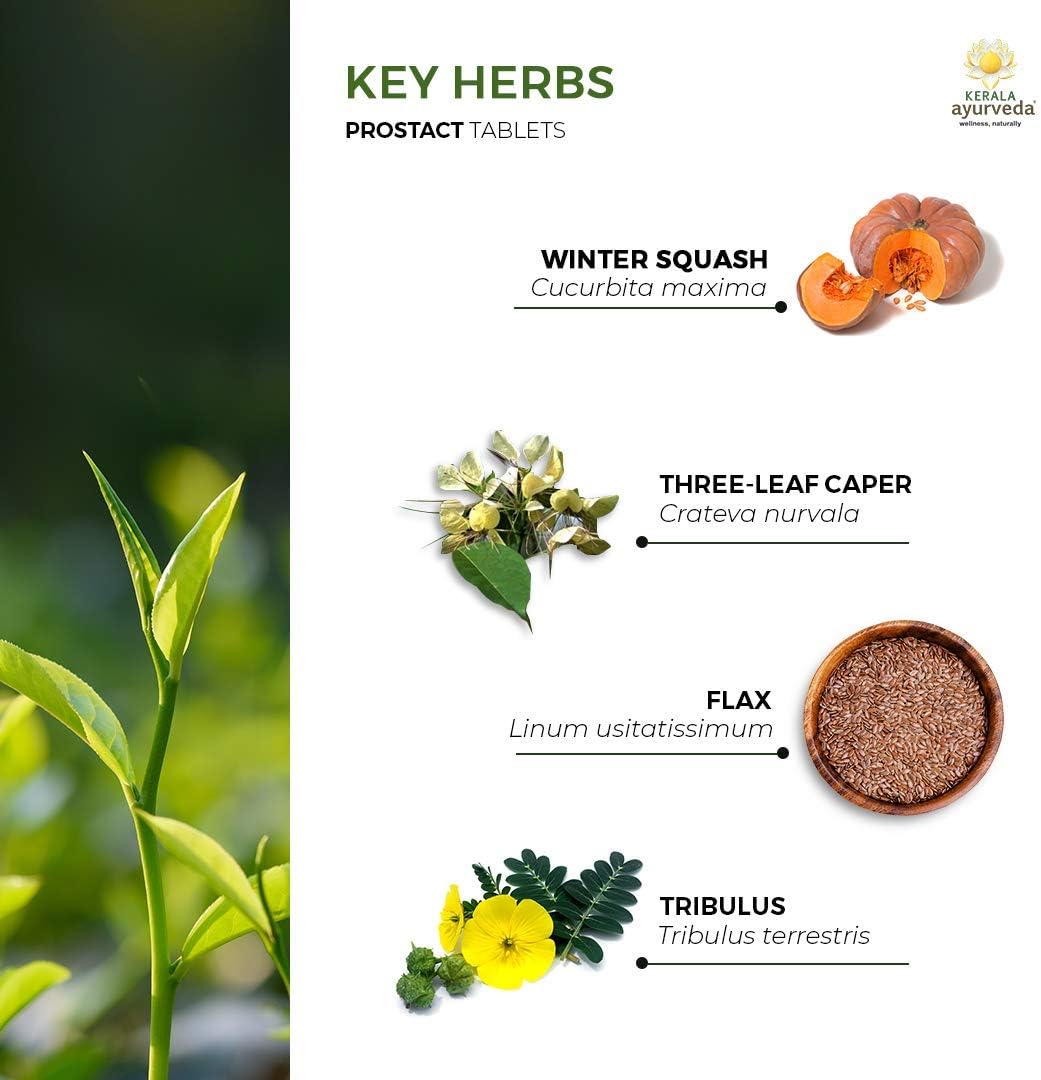Kerala Ayurveda Prostact - Herbal Capsules with Tribulus to Support Normal Prostate Functions, Maintain Healthy Urine Flow, and Overall Men’s Well-Being, 90 Count: Health & Personal Care