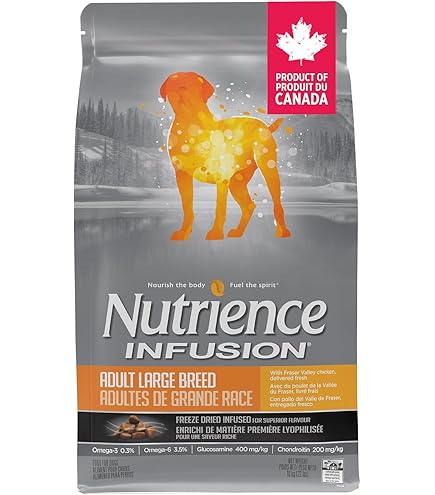 Nutrience Infusion Healthy Adult Dog Food - Canadian Beef