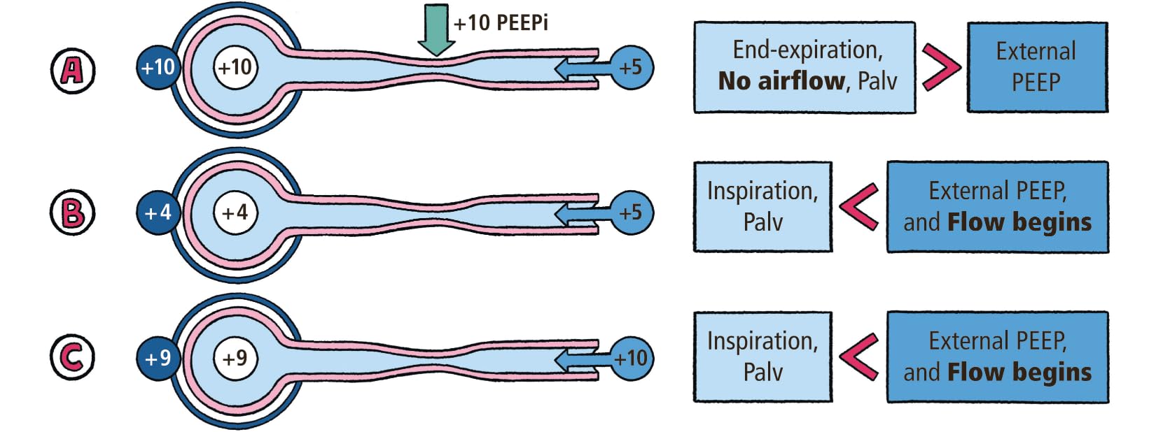 Critical Care and Hospitalist Medicine Made Ridiculously Simple