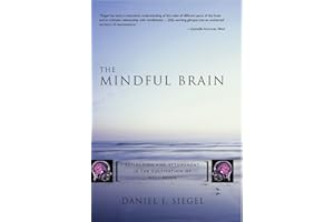 The Mindful Brain