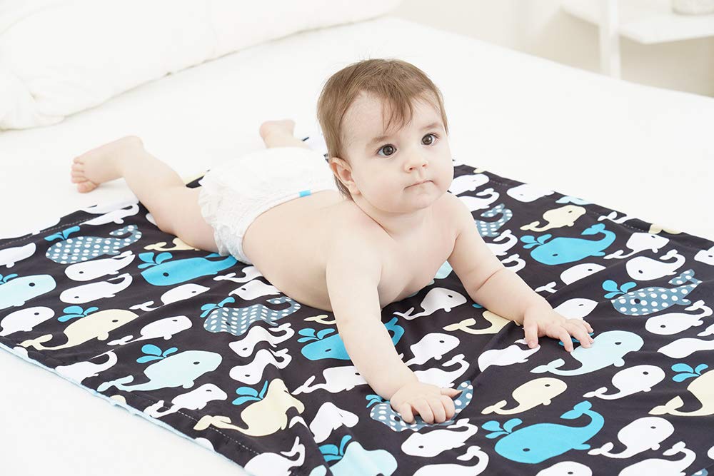 Soft Minky Baby Blanket - with Premium Dotted Backing Whale Printed - Unisex - for Stroller, Crib, Newborns, Receiving (30"x40") : Baby