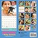 Hot Guys and Baby Animals 2017 Wall Calendar