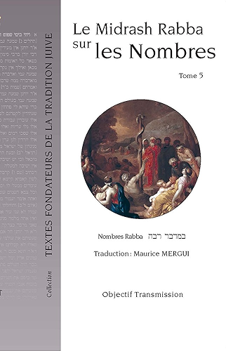 Download Le Midrash Rabba sur les Nombres (tome 5) PDF