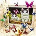 SunHO 3D Butterfly Stickers Removable Mural Crafts Art Design Decal Wall Home Decor Room Decorations (72 Piece)
