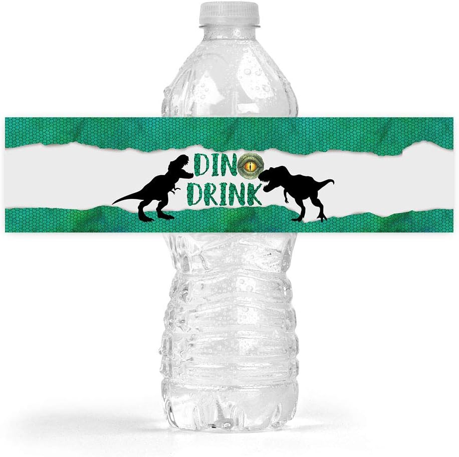 Amazon Com Dinosaur Birthday Party Bottle Wraps 25 Dinosaur T