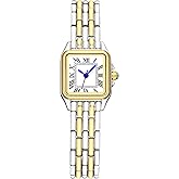 IBSO Classic Square Watches for Women with Small Roman Numerals Dial