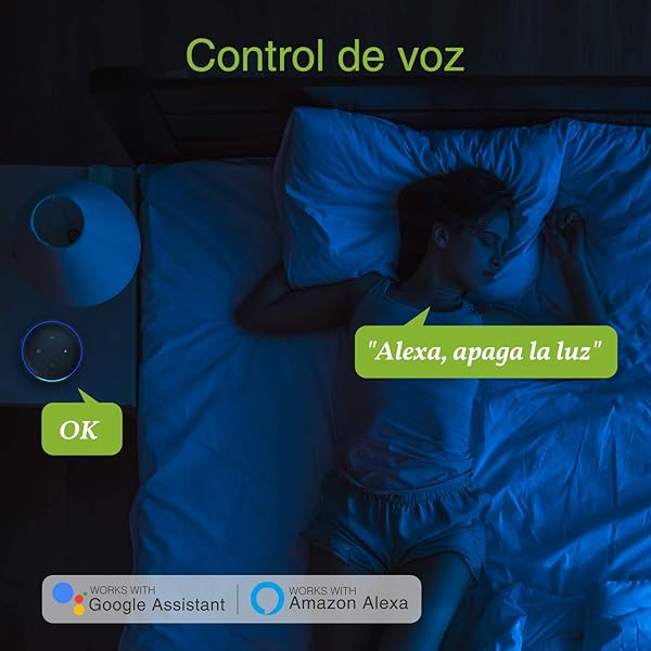 Mini Enchufe Inteligente Wifi con 2 Toma Controlar Individual Compatible con Alexa y Google Home Monitor de Energa Control RemotoTemporizacinGosund Seguro Diseo 2 1 Smart Plug Ahorrar Espacio