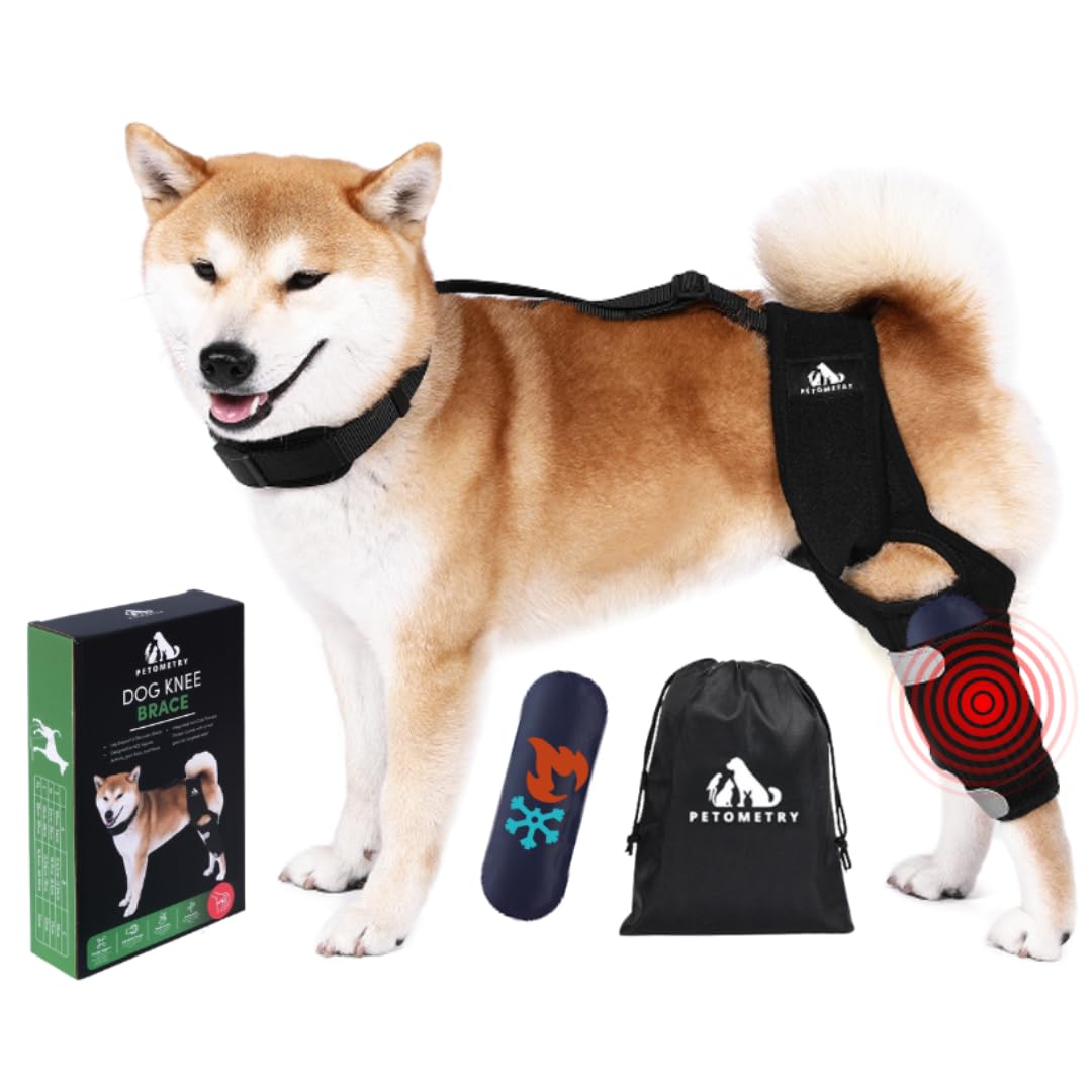 Photo 1 of Petometry Universal Dog Knee Brace with Hot/Cold Therapy Pack, Adjustable, Breathable, Extra Comfortable Collar with Stabilising Back Brace (Large)