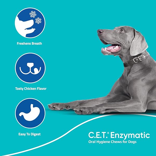 C.E.T. ENZYMATIC ORAL HYGIENE CHEWS FOR DOGS – PLAQUE & TARTAR CONTROL – SINGLE LAYER BEEFHIDE WITH EXCLUSIVE DUAL-ENZYME SYSTEM & TASTY CHICKEN FLAVOR – EASY TO GIVE DOG DENTAL CHEW