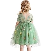 Nileafes Flower Girls Lace Pageant Dress Toddler Girl Tulle Sleeveless Wedding Party Princess Ball Gown