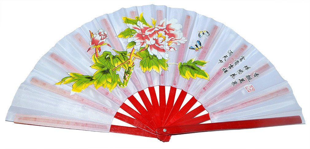Medifier Chinese Kung Fu Tai Chi Fan Arts Dance/Practice Performance Bamboo Folding Fan (White)