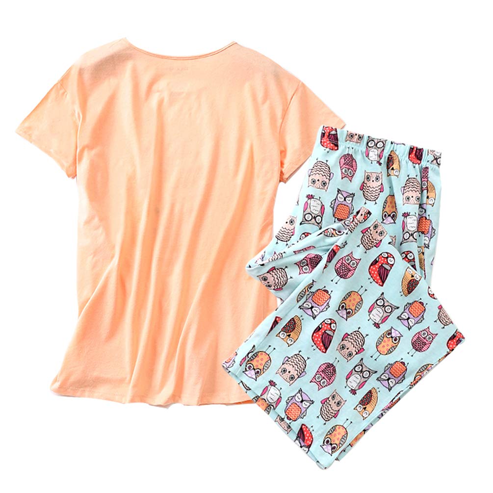 ENJOYNIGHT Women\'s Sleepwear Tops with Capri Pants Pajama Sets (Large, Owl2)
